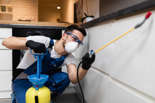 Pest Control Cost in New Rockford, ND