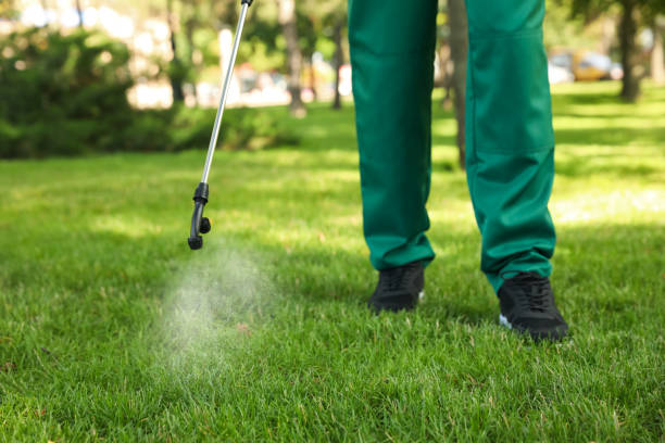 Best Ant Control Services  in New Rockford, ND