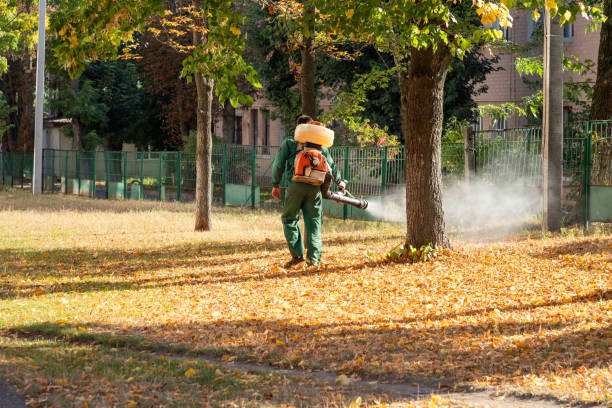 Best Cockroach Control Services  in New Rockford, ND