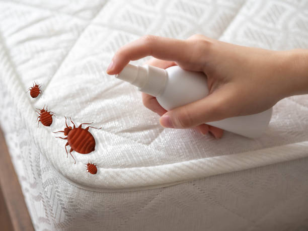 Best Residential Pest Control  in New Rockford, ND